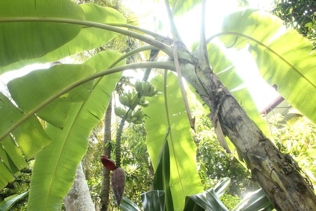 Dionis Villa Unawatuna Exterior foto