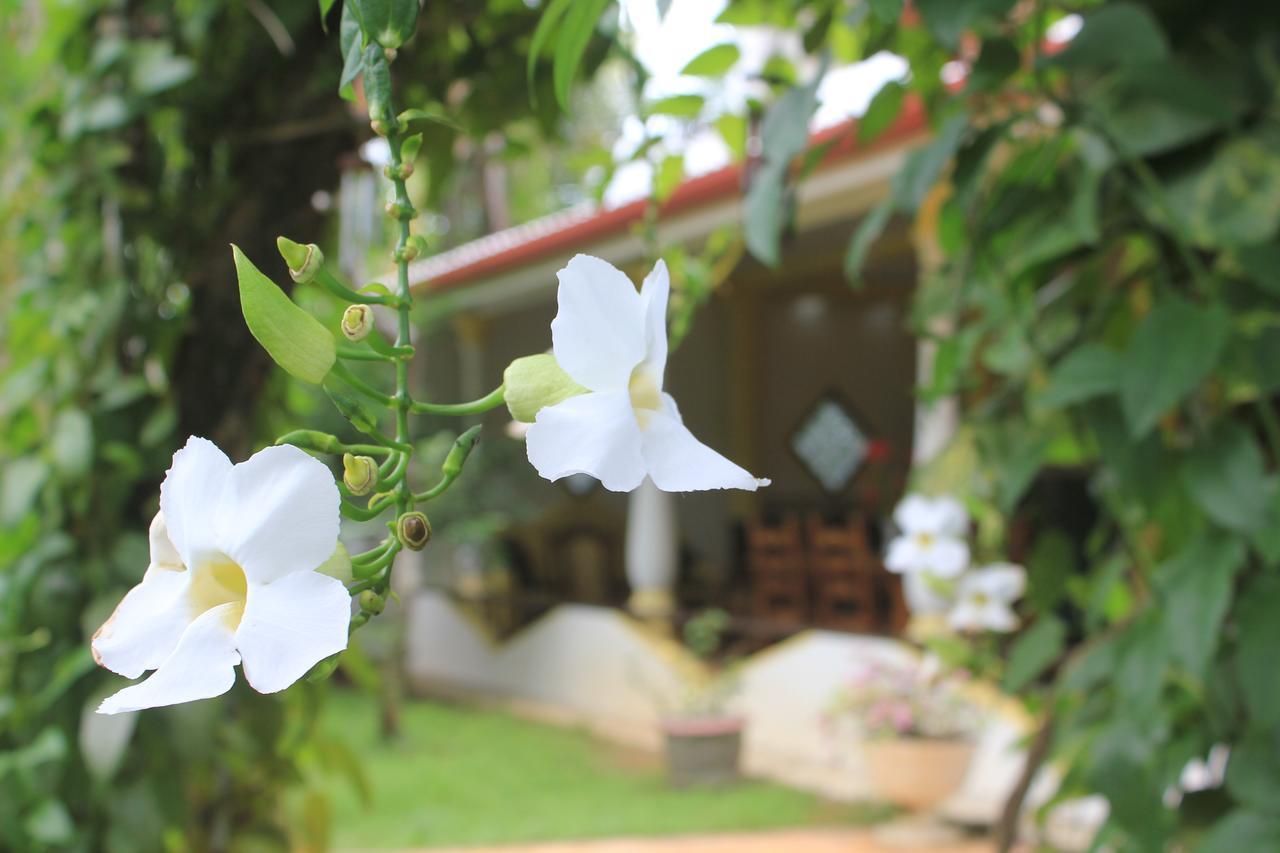 Dionis Villa Unawatuna Exterior foto